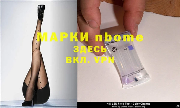PSILOCYBIN Алзамай