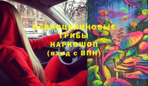 PSILOCYBIN Алзамай