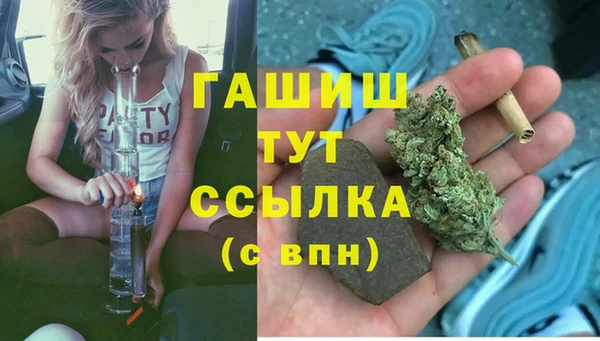 PSILOCYBIN Алзамай