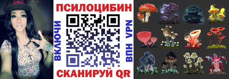 магазин    Лиски  Псилоцибиновые грибы Psilocybine cubensis 
